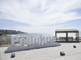 Hotel de Piedra，位于Pelluhue的酒店