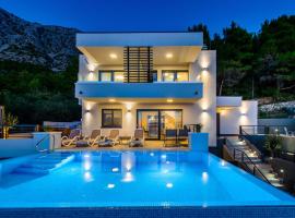 Villa Leona a luxury villa near Makarska, heated pool，位于兹沃格谢的带泳池的酒店