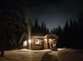 Liten timmerstuga i Sälen