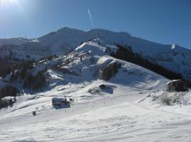 Giffre，位于萨莫安斯杜莫赛尔斯滑雪缆车附近的酒店