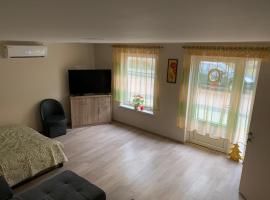 Rusnės Apartamentai，位于鲁斯内的酒店