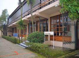 Hotel Curapalihue，位于利纳雷斯的酒店