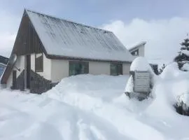 Cabaña en Caviahue