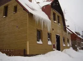 Holiday Home in Bohemia near Ski Area and Forests