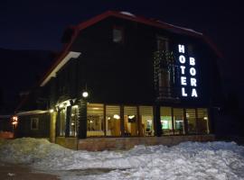 Hotel Bora，位于Popova Shapka的酒店