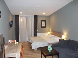 Apart Hotel The Valley Bakuriani，位于巴库里阿尼的酒店