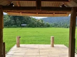Chinopuu Hut Homestay Muangkong ชิโนปู ฮัท โฮมสเตย์ เมืองคอง เชียงดาว