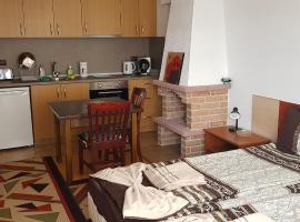 Simon's studio，位于班斯科的酒店