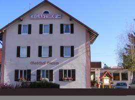 Hotel Gaum，位于Biberach-Ummendorf的酒店