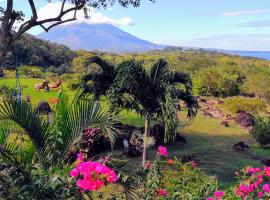 Ananda Guesthouse，位于Balgue的宠物友好酒店