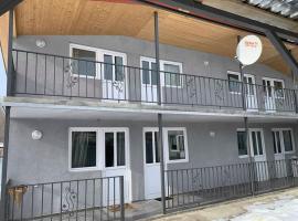 Hotel Elba，位于Tʼianetʼi的酒店