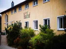 Hotel Garni Haidhof，位于Maxhütte-Haidhof的酒店
