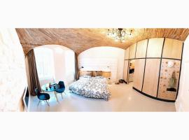STUDIO K in hitoric city centre，位于克卢日-纳波卡的酒店