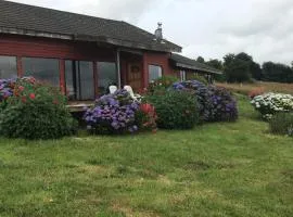 Parcela de Agrado "Entre Lagos y Volcanes"