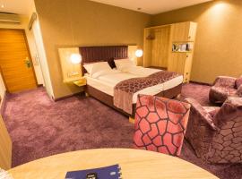 Top Hotel Hammer - Mainz Hauptbahnhof，位于美因茨的酒店