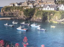 Bay House Lundy Port Isaac Apartment with Sea Views，位于以撒港的公寓