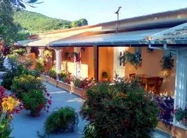 Marika Garden Studios