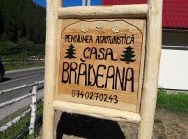 Pensiunea agroturistică Casa Brădeana，位于阿尔巴克的酒店