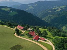 Farmstay&Glamping Visočnik，位于Ljubno的乡村别墅