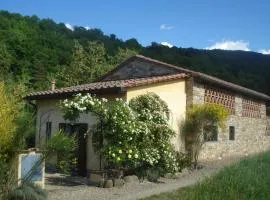 Il Cielo Bio - Il più piccolo B&B del Chianti