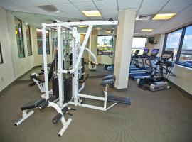 Carson Valley Motor Lodge and Suites，位于明登的酒店