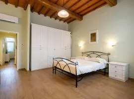 Santo Spirito Bright Flat by Mmega