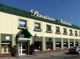 Pensione Antonio，位于斯武普斯克的住宿加早餐旅馆
