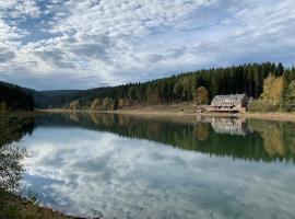 Holidayhaus Lütsche，位于Frankenhain的酒店