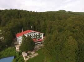 Great Mountain B&B Platak，位于Platak的酒店