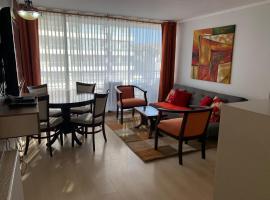 Departamento en el corazón de Viña del Mar，位于维纳德马Vergara Palace附近的酒店