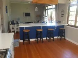 Turtle Creek - Leatherback