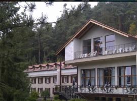 Hotel U Jezera，位于Klučenice的酒店