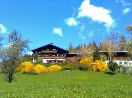 拜耳霍夫斯旺舍酒店，位于阿特湖畔施泰因巴赫的滑雪度假村