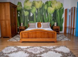 Motel Via Targu Mures