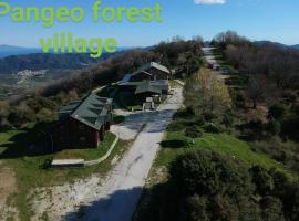 Pangeo forest village，位于Mousthéni的酒店