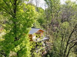 "La Romantica" Superior Chalet Rifugio Nel Bosco，位于Astano的乡村别墅