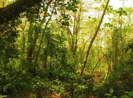 Rionilo Ecolodge，位于Bajo Viejo的酒店