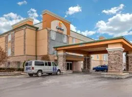 Comfort Suites Southgate-Detroit