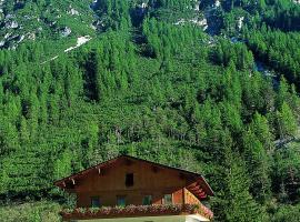 Pension Nina & Gasthof Alpenrose，位于格施尼茨的酒店