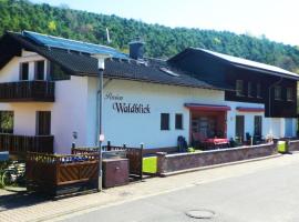 Pension Waldblick，位于奥登瓦尔德县赫希斯特的酒店