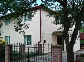 Хостел в Карпатах