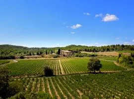 Domaine de Palats，位于Laure-Minervois的乡间豪华旅馆