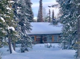 Villa Karhunkehto，位于洛斯托的酒店