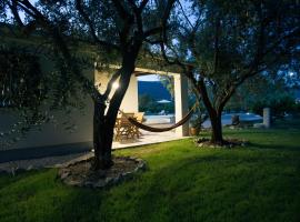 Lodge JoMi，位于卡斯特罗诺维的酒店