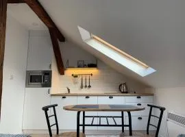 West Studio Apartment Sarajevo