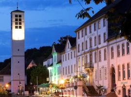 Historisches Hotel zum Schwan，位于巴特卡尔斯哈芬的酒店