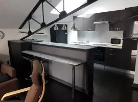 APPARTEMENT LOFT CROIX LILLE