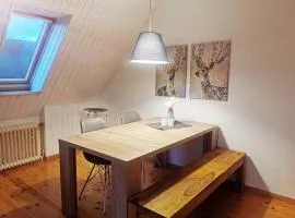 Moderne Ferienwohnung in ruhiger Lage