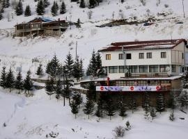 Snow Patrol Lodge，位于泰托沃的酒店