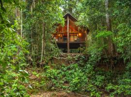 天篷雨林树屋及野生动物保护区酒店，位于Tarzali的山林小屋